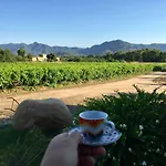 I Carrubi منزل ريفي San Priamo