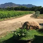 I Carrubi منزل ريفي San Priamo