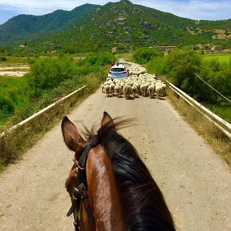 Casa di campagna I Carrubi San Priamo