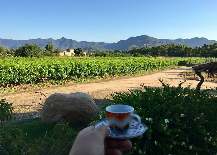 I Carrubi Country house San Priamo