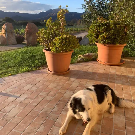 I Carrubi Landsted