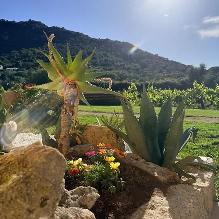 I Carrubi * San Priamo