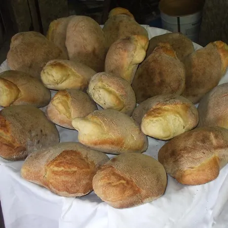 I Carrubi San Priamo