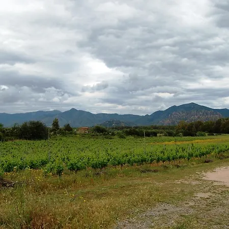 Gospodarstwo wiejskie I Carrubi *