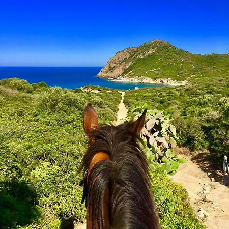 I Carrubi San Priamo