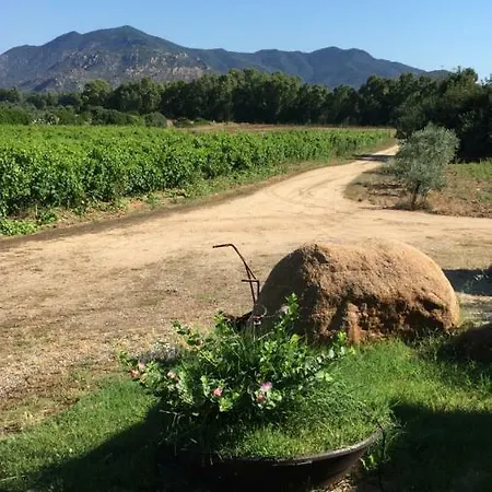 I Carrubi Летний дом San Priamo